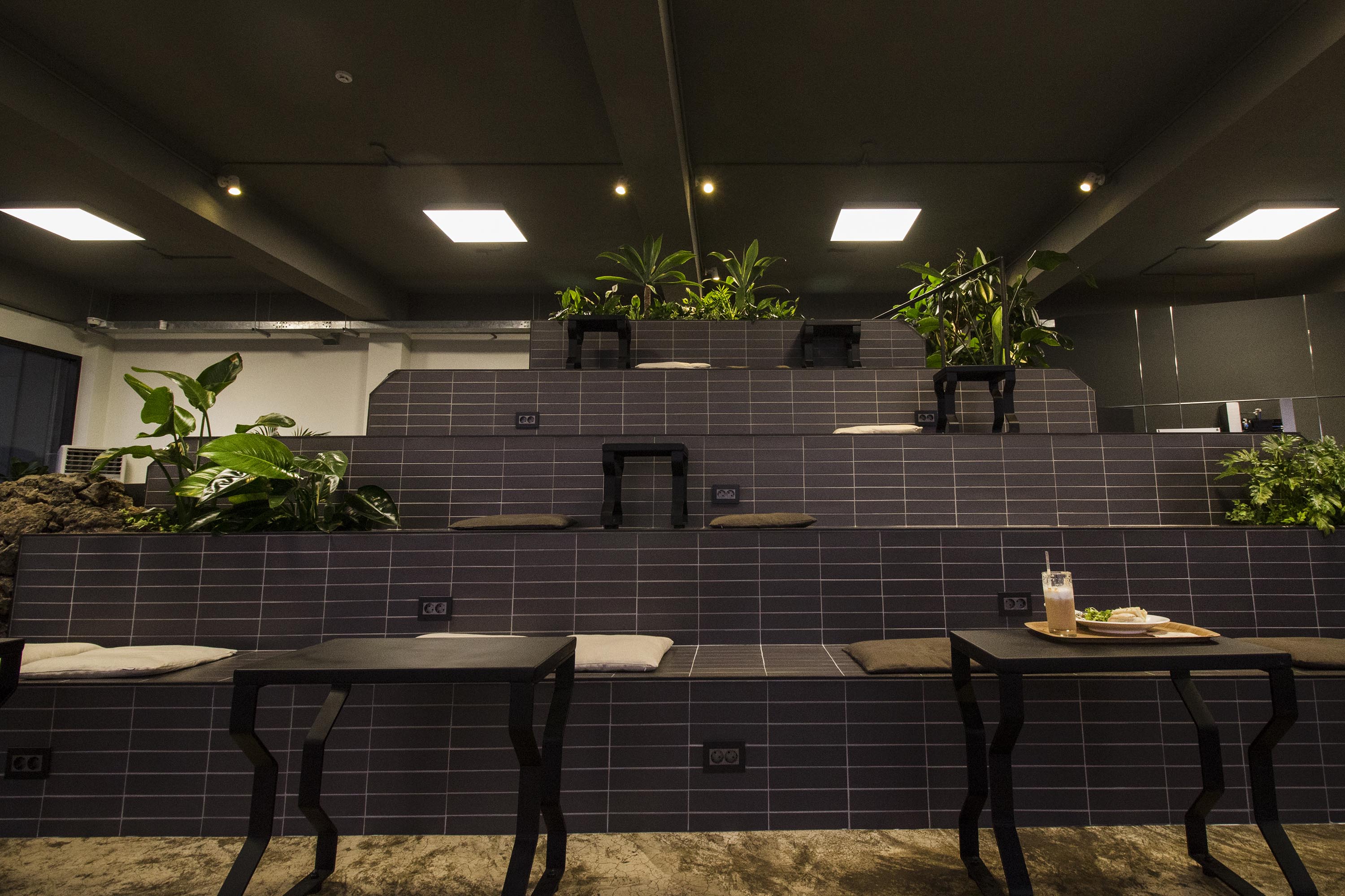 Koala Coffee Aewol THE FIRST PENGUIN