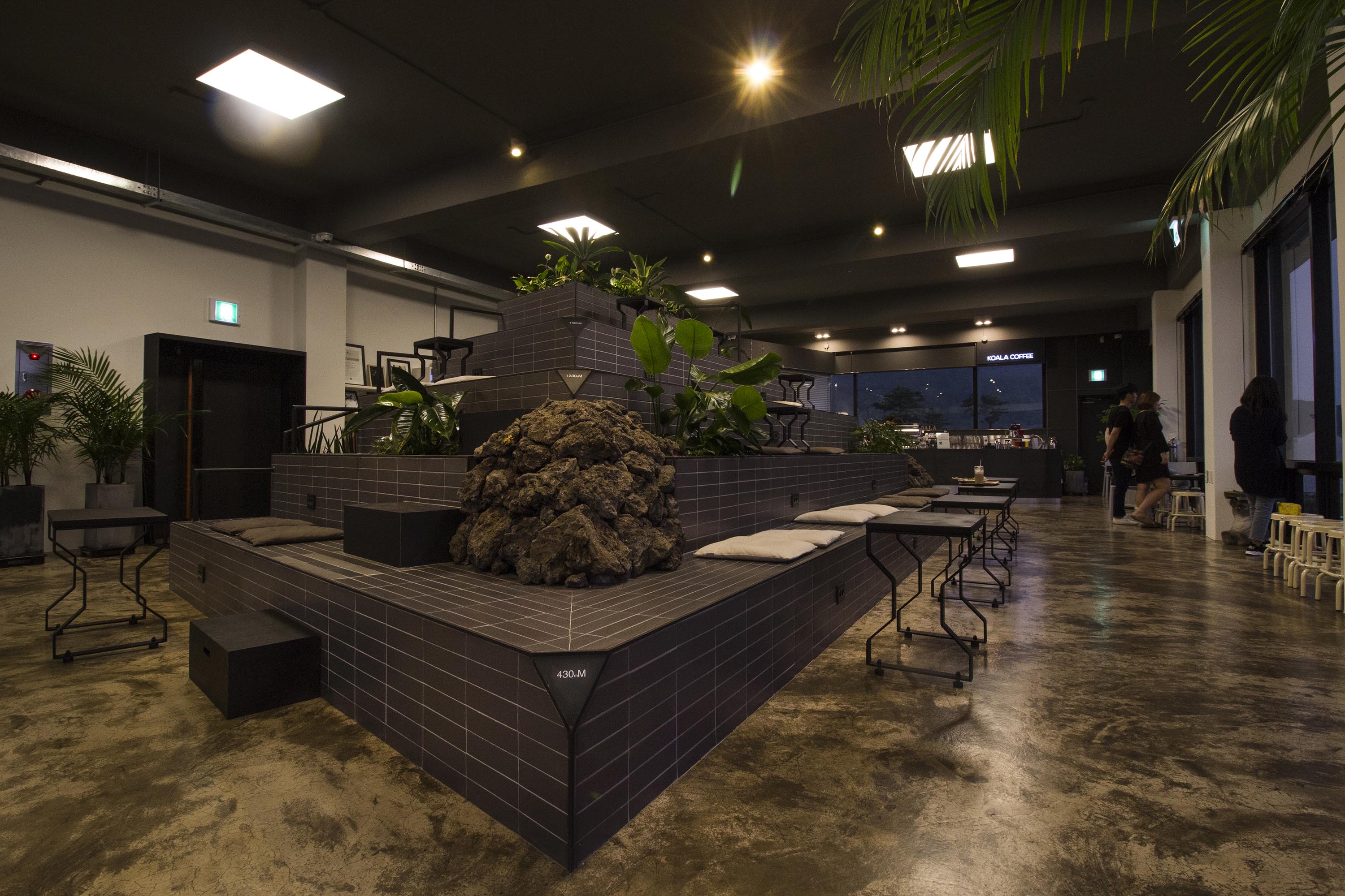 Koala Coffee Aewol THE FIRST PENGUIN