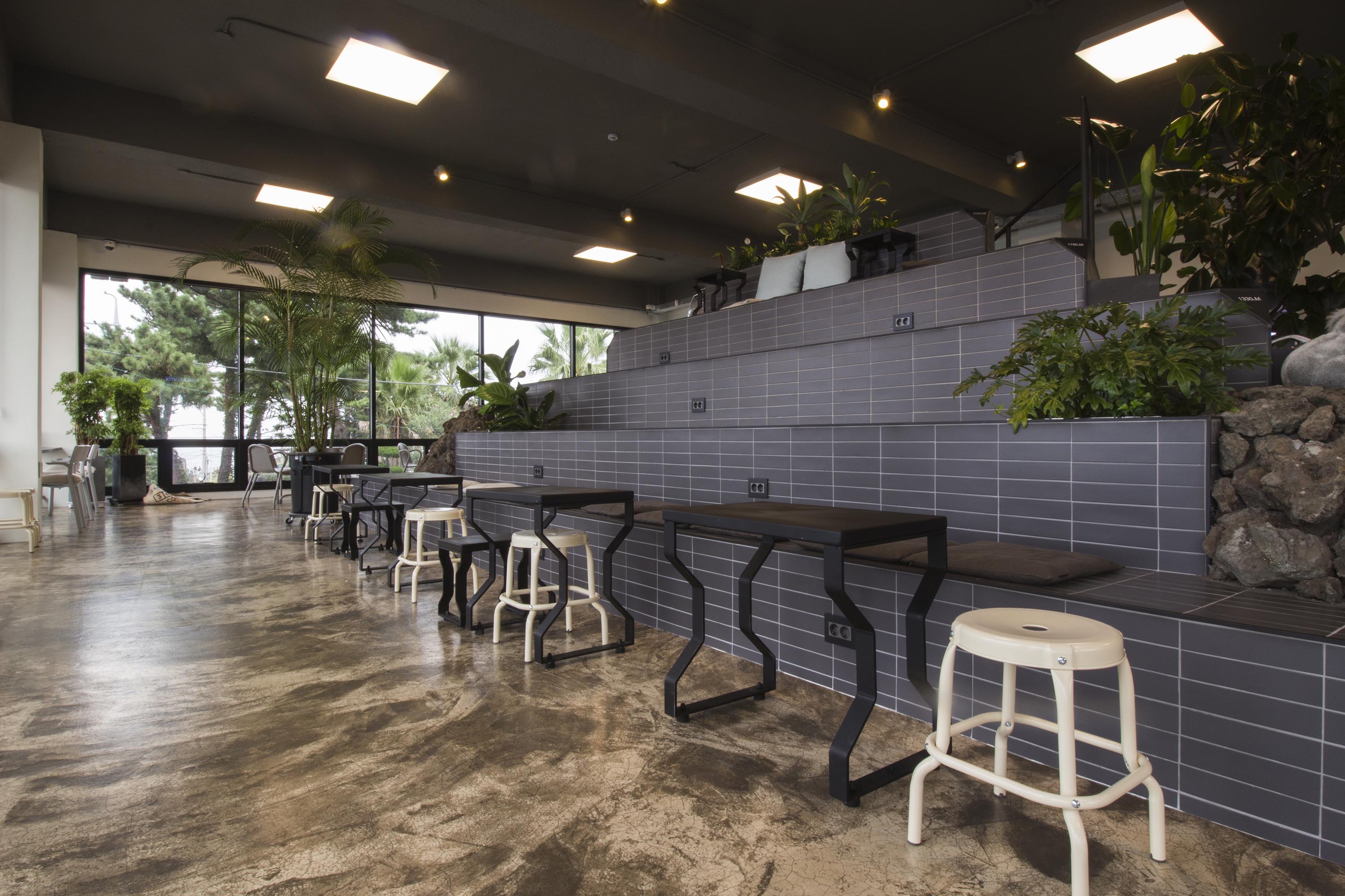 Koala Coffee Aewol THE FIRST PENGUIN